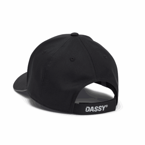 Alternative view of DASSY® Xilo - Pet